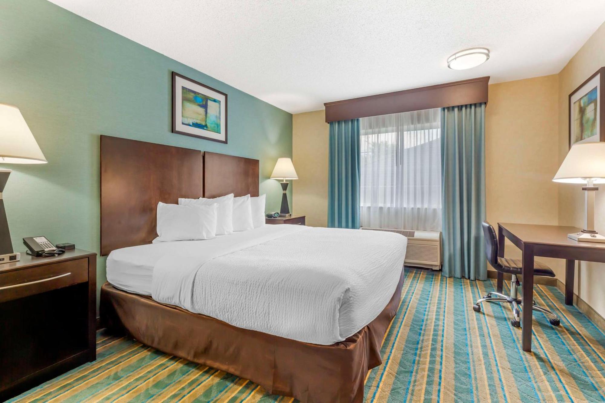 Best Western Plus Berkshire Hills Inn&Suites Pittsfield Exterior foto